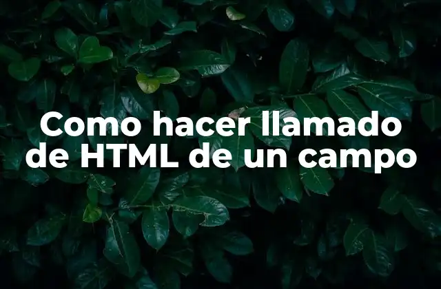 Como hacer llamado de HTML de un campo