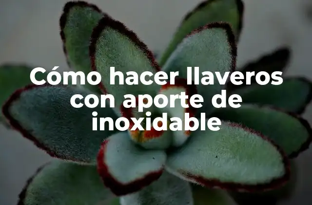 Cómo Hacer Llaveros con Aporte de Inoxidable