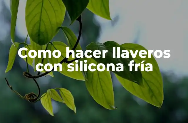 Como Hacer Llaveros con Silicona Fría