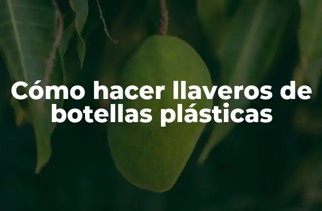 Cómo Hacer Llaveros de Botellas Plásticas