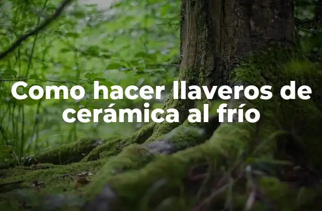 Como Hacer Llaveros de Cerámica Al Frío