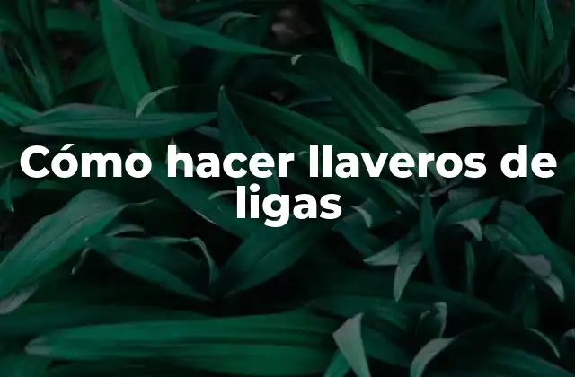 Cómo Hacer Llaveros de Ligas
