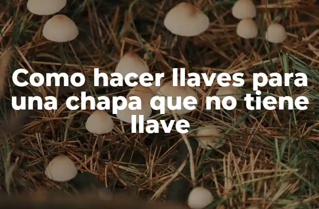 Como Hacer Llaves para una Chapa que No Tiene Llave