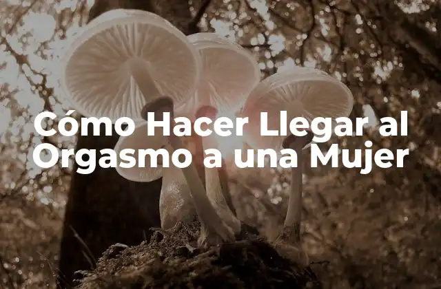 Cómo Hacer Llegar Al Orgasmo a una Mujer