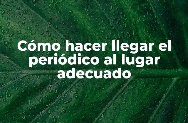 Entrega de periódicos: ¿Qué es y para qué sirve?