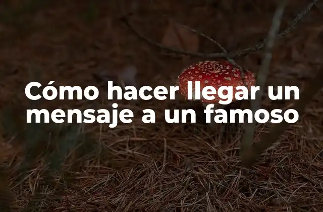 Cómo Hacer Llegar un Mensaje a un Famoso