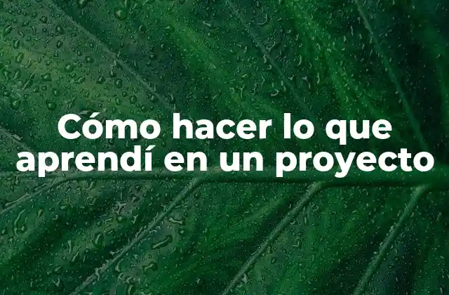 Cómo Hacer Lo que Aprendí en un Proyecto