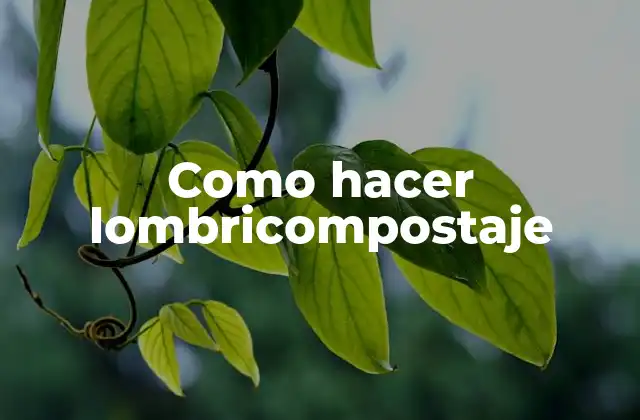 Como Hacer Lombricompostaje 2 Lombricompostaje