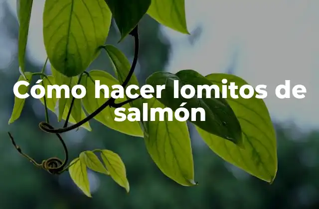 Cómo Hacer Lomitos de Salmón