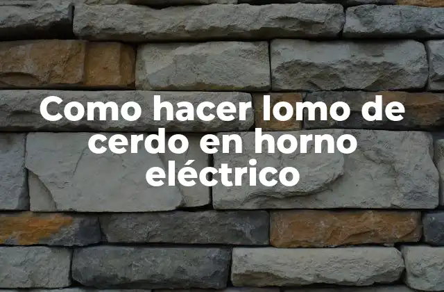 Como Hacer Lomo de Cerdo en Horno Eléctrico