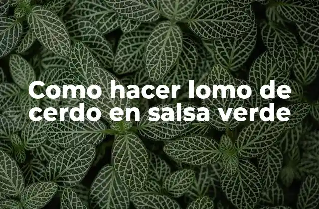 Como Hacer Lomo de Cerdo en Salsa Verde