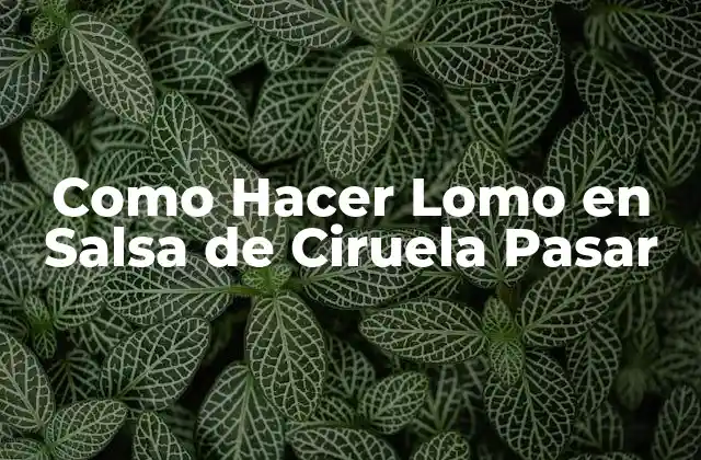¿Qué es Lomo en Salsa de Ciruela Pasar y Para Qué Sirve?