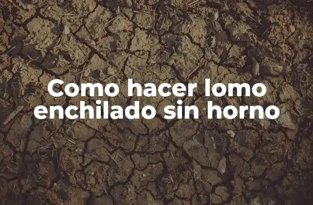 Como Hacer Lomo Enchilado sin Horno