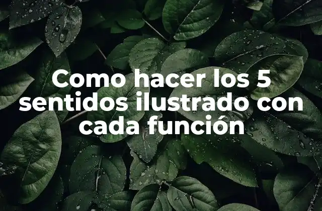 Como Hacer los 5 Sentidos Ilustrado con Cada Función