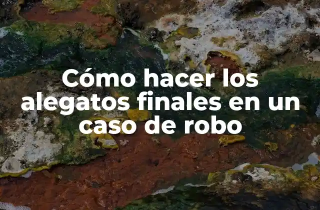 Cómo Hacer los Alegatos Finales en un Caso de Robo