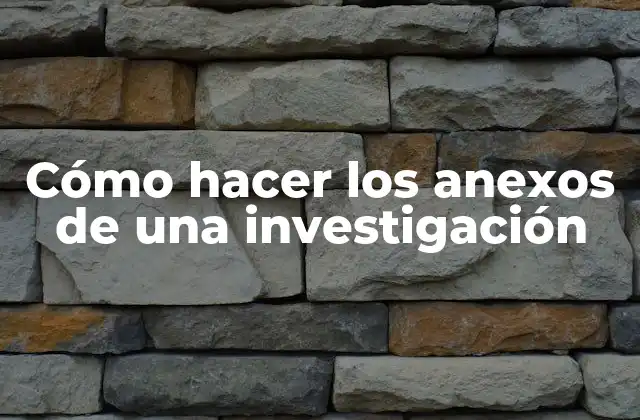 Cómo Hacer los Anexos de una Investigación