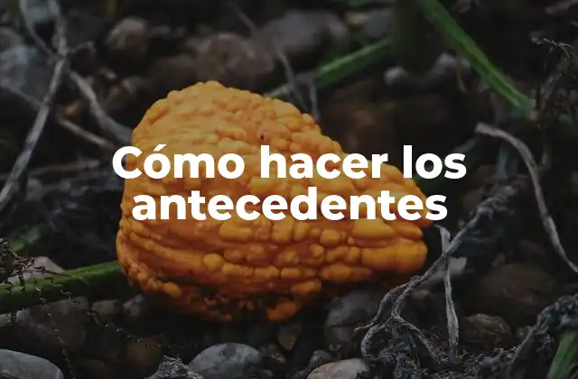 Cómo Hacer los Antecedentes