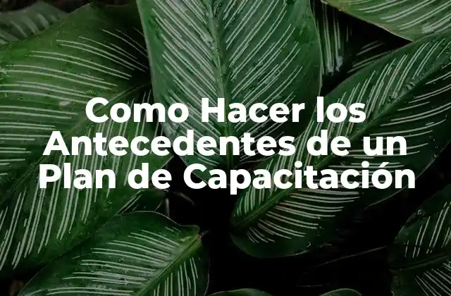 Como Hacer los Antecedentes de un Plan de Capacitación