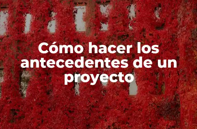 Cómo hacer los antecedentes de un proyecto