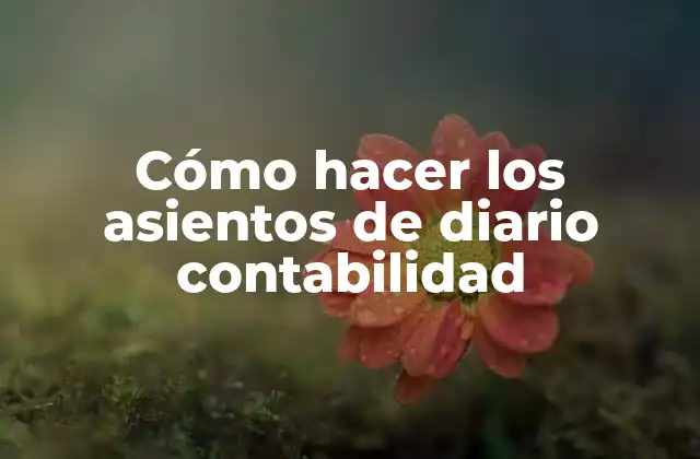 Cómo Hacer los Asientos de Diario Contabilidad