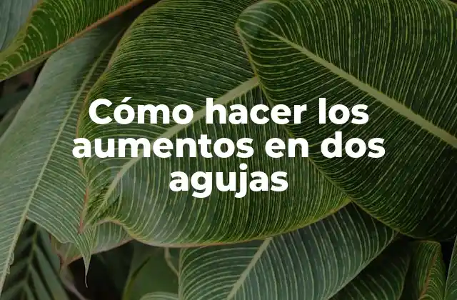 Cómo Hacer los Aumentos en Dos Agujas