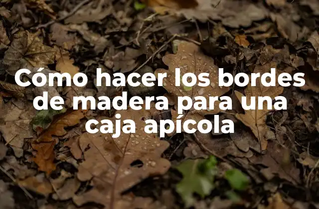Cómo Hacer los Bordes de Madera para una Caja Apícola