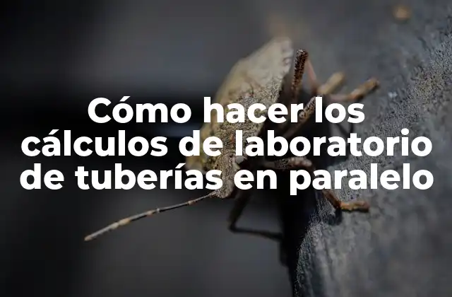 Cómo Hacer los Cálculos de Laboratorio de Tuberías en Paralelo