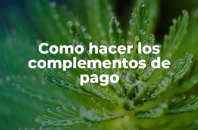 ¿Qué son los complementos de pago?