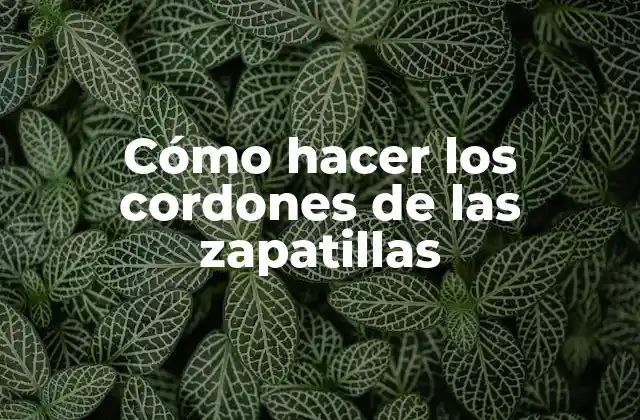 Cómo Hacer los Cordones de las Zapatillas