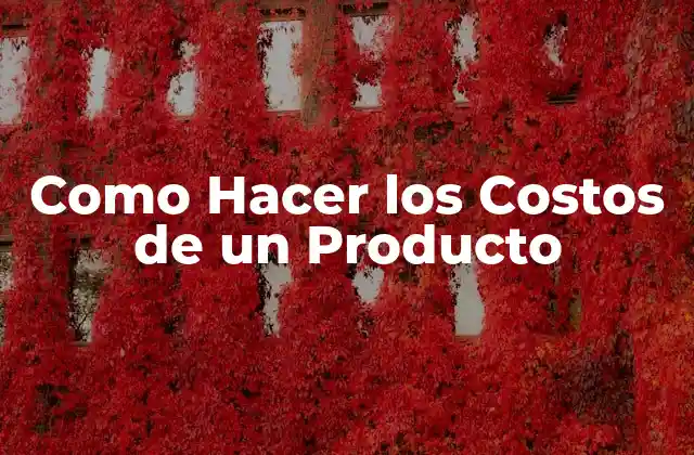 Como Hacer los Costos de un Producto