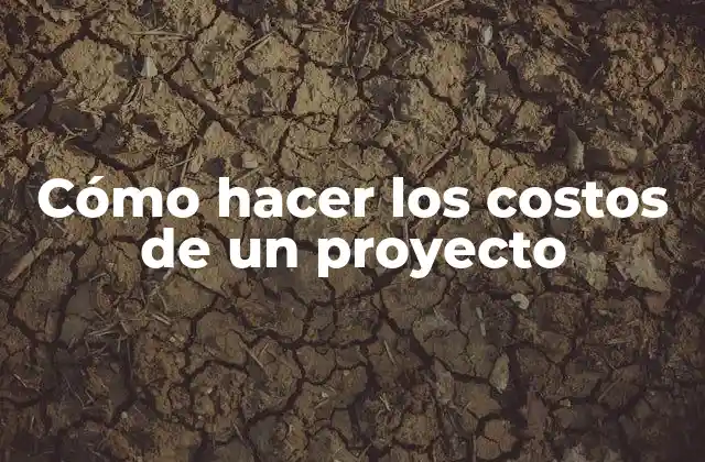 Cómo Hacer los Costos de un Proyecto