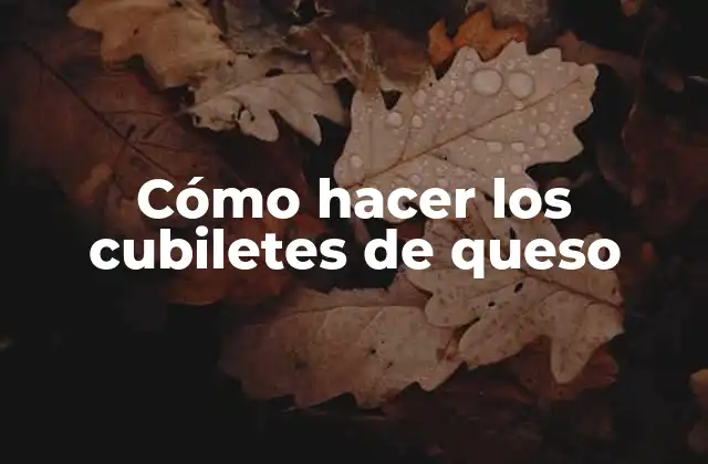 Cómo Hacer los Cubiletes de Queso