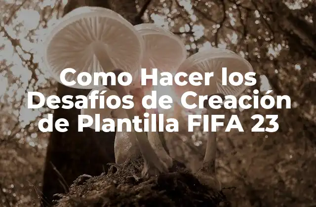 Como Hacer los Desafíos de Creación de Plantilla Fifa 23