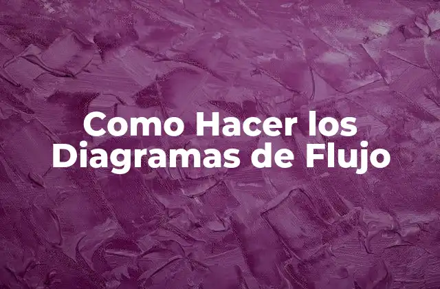 Como Hacer los Diagramas de Flujo