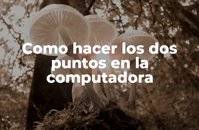 Como Hacer los Dos Puntos en la Computadora