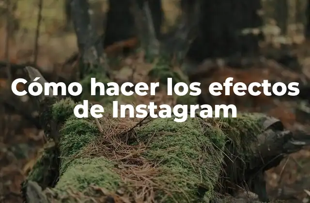 Cómo Hacer los Efectos de Instagram