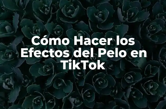 Cómo Hacer los Efectos Del Pelo en Tiktok