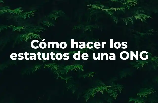 Cómo Hacer los Estatutos de una Ong