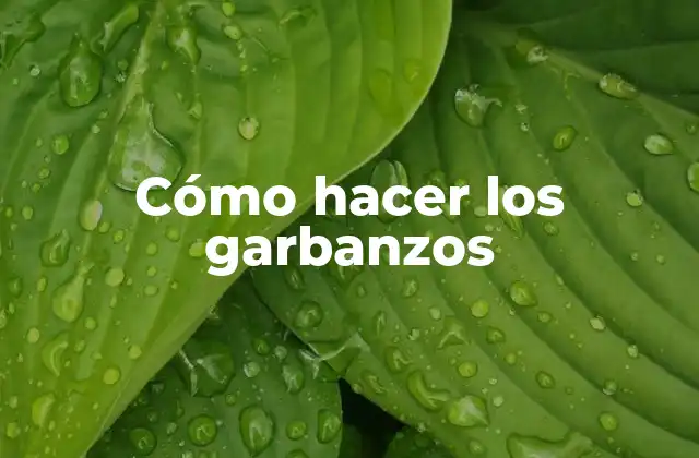Cómo Hacer los Garbanzos