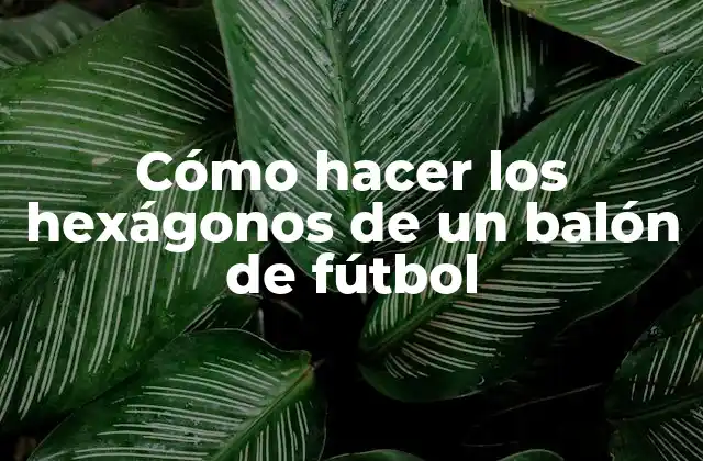 Cómo Hacer los Hexágonos de un Balón de Fútbol