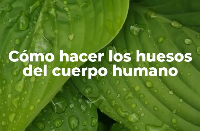 Cómo Hacer los Huesos Del Cuerpo Humano