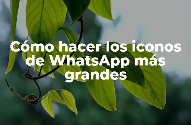 Cómo Hacer los Iconos de Whatsapp Más Grandes