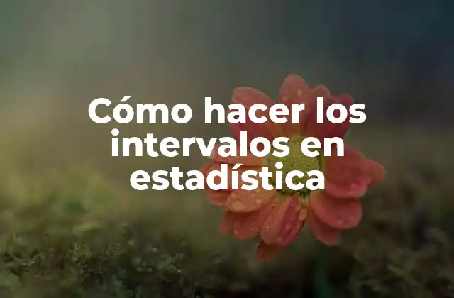 Cómo Hacer los Intervalos en Estadística