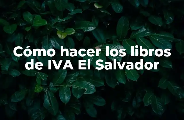 Cómo Hacer los Libros de Iva el Salvador
