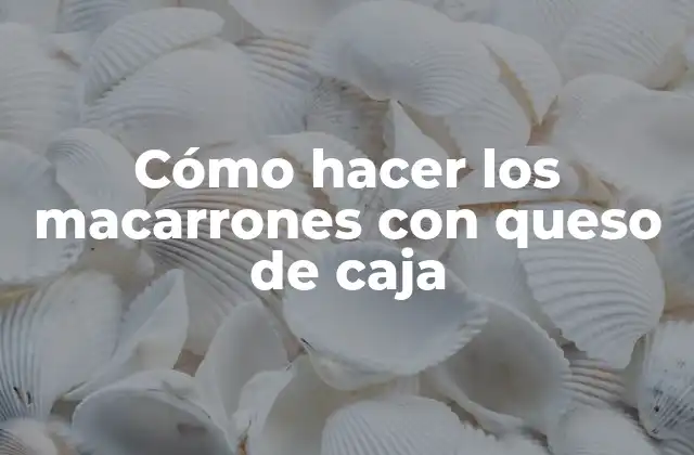 Cómo Hacer los Macarrones con Queso de Caja