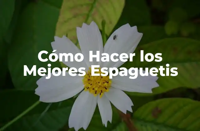 Cómo Hacer los Mejores Espaguetis