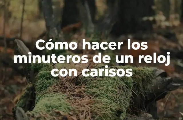 Cómo Hacer los Minuteros de un Reloj con Carisos