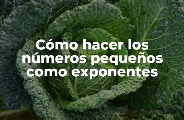 Cómo Hacer los Números Pequeños como Exponentes