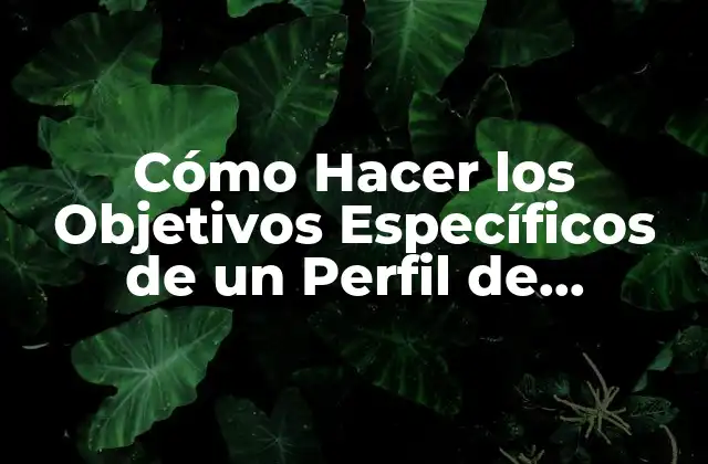 Cómo Hacer los Objetivos Específicos de un Perfil de Proyecto