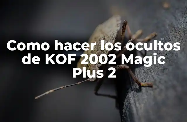 Como Hacer los Ocultos de Kof 2002 Magic Plus 2 2 ¿Qué son los ocultos en KOF 2002 Magic Plus 2?